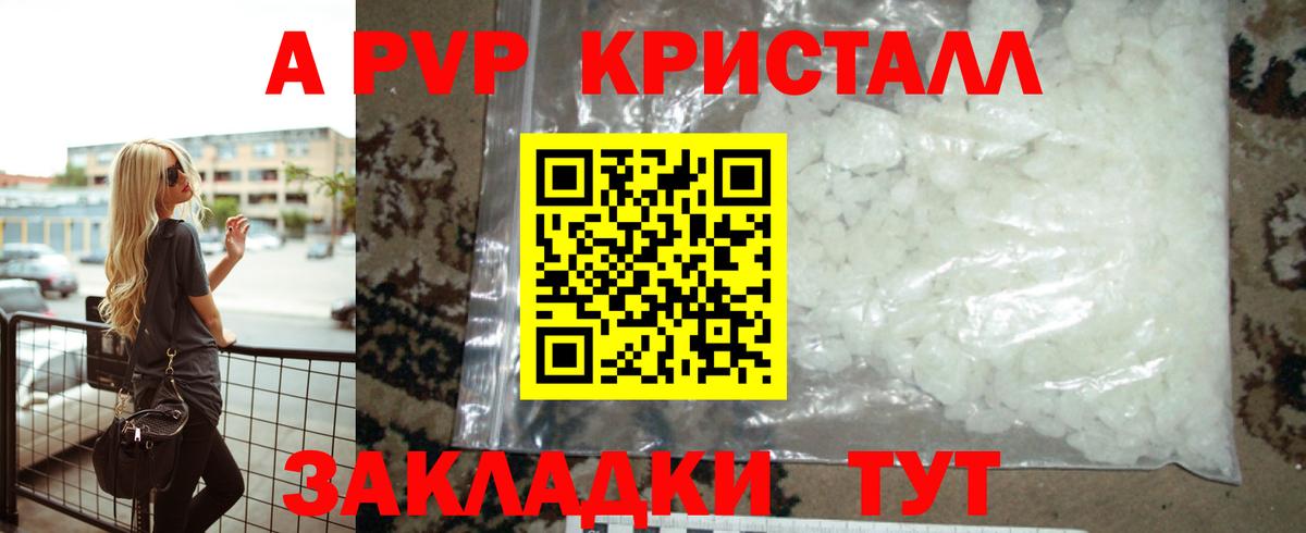 A PVP СК Саратов