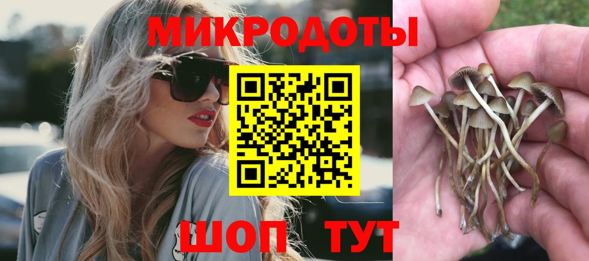 Саратов  Псилоцибиновые грибы ЛСД  Вход с VPN 