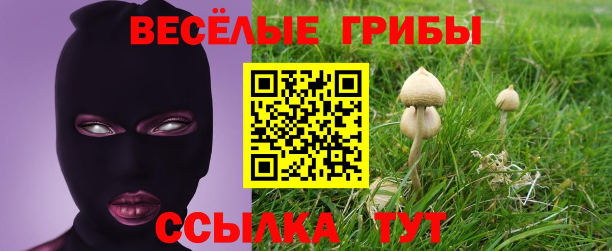 Псилоцибиновые грибы MAGIC MUSHROOMS Саратов